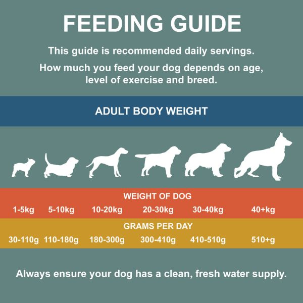 Adult Feeding Guide