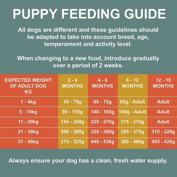 Puppy Chicken Feeding Guide